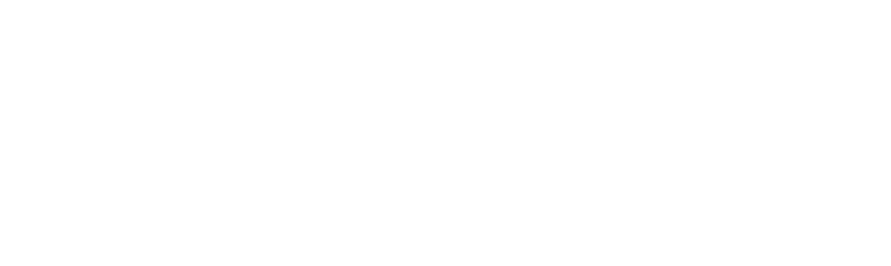 SBLI